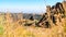 Armenia, Amberd, September 2022. View of the Vahramashen temple through the autumn grass.