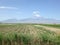 Armenia, Ararat, Ararat valley