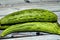 The Armenian cucumber, Cucumis melo var. flexuosus, a type of long, slender fruit which tastes like cucumber and looks somewhat