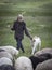 Armenian Man with his sheep in a countryside