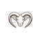 Armenian Mouflon Head Mascot