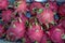 Armenian Street, Red tropica Dragon fruit in bulk at an market