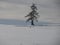 Armentara fields on Cross Mountain peak Monte croce in winter dolomites snow panorama val badia valley