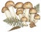 Armillaria mellea with real fern leaves composition, honey fungus and autumn real leaves illustration. Hand drawn watercolor