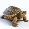 Armored and Unique: A Stunning Portrait of a Turtle on White Background