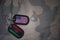 army blank, dog tag with flag of united states of america and libya on the khaki texture background.