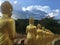 An army of golden Buddhas in mountains in Cambodia