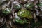 Army of green frogs stacked together