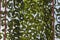 Army Military Weathered Masking Camouflage Net Background, Mask Net Tarp Seamless Isolated Texture. Protective Khaki