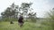 Army soldier removes mines, sapper with examines territory, minesweeper uses a mine detector