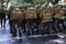 Army soldiers parade with equipment during a tribute to Brazilian Independence Day in the city of Salvador, Bahia