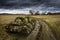 Army tank on the muddy field under the dramatic sky.