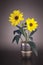 Arnica blossoms in a vase
