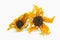 Arnica herb dried blossoms