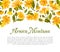 Arnica Herb Nature Banner Design with Meadow Flower Vector Template