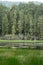 Arohaki Lagoon in Whirinaki Conservation Park, Bay of Plenty, New Zealand