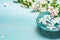 Aroma bowl with water and white blossom flowers on Turquoise blue shabby chic wooden background.