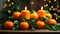 aroma decoration tangerines, winter , decorative fruit Christmas tree branch orange food green december