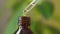 Aroma essential oil from peppermint in the bottle with fresh green mint leaf