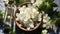 Aromatherapy concept, Top view of glass bottles of geranium essential oil with fresh white flowers and petals on table