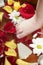 Aromatherapy, flowers feet bath, rose petal