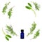 Aromatherapy Herb Selection