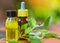 Aromatherapy herbal oil bottles aroma with leaves herbal formulations including and herbs - Holy Basil Essential Oil natural and