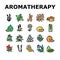 Aromatherapy Herbs Collection Icons Set Vector Illustration