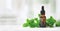 Aromatherapy treatment - essential oil bottle with mint leaves on clean bright background