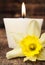 Aromatic candle and narcissus close-up