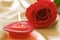 Aromatic candle and red rose