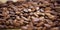 Aromatic cocoa beans background