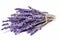 Aromatic Dried lavender. Generate Ai