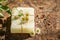 Aromatic and ecological chamomile soap good for skin