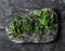 Aromatic garden herbs, food ingredients, seasonings - sage, thyme, mint, tarragon on a wooden rustic chopping board on a dark