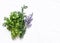 Aromatic garden herbs - tarragon, lavender, cilantro, dill on a light background, top view. Cooking food spices ingredients