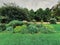 Aromatic garden, view of the aromatic plants in botanical garden of Paris,  France