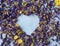 Aromatic herbal dry tea lavender and chamomile loose heart  on blue wood table macro