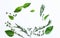 Aromatic herbs - basil, thyme, rosemary