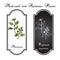 Aromatic herbs collection - marjoram