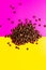 Aromatic Roasted coffee beans pile pink and yellow background. top view