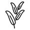 Aromatic sage icon outline vector. Leaf plant