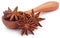 Aromatic star anise