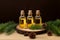 Aromatic trio Small bottles hold pine, spruce, and cedar essential oils