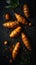 Aromatic Turmeric Spice Vertical Background.