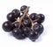 Aronia fruit on white background