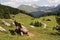 Arosa, Switzerland, August 15, 2021 Empty bench in an alpine scenery