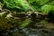 Around the city of Scarborough in the UK,Forest, waterfall