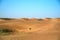 Around Nazwa and pink rock desert, viewing of the sand and plant in the desert, sharjah, United Arab Emirates