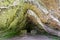 Arpea cave in Aezkoa. Jungle of Irati between Navarra and France.